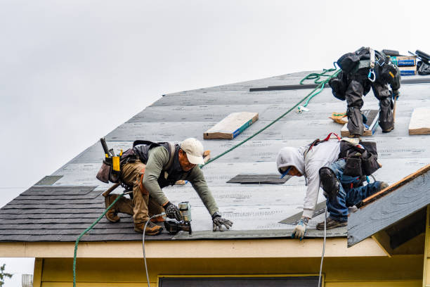 Professional Gutter Installation technician working in Springbrook, IA